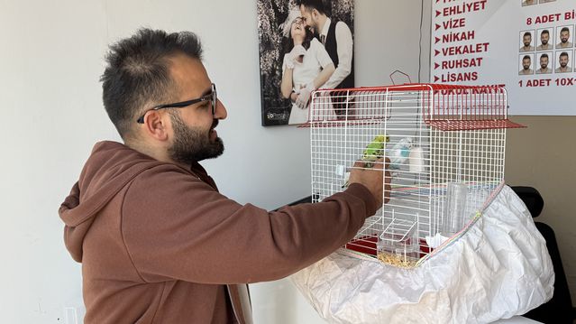 Kediler, Kuşlara Pusu Kurdu! - Son Dakika