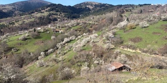 Kızlan'da İlkbahar Manzarası