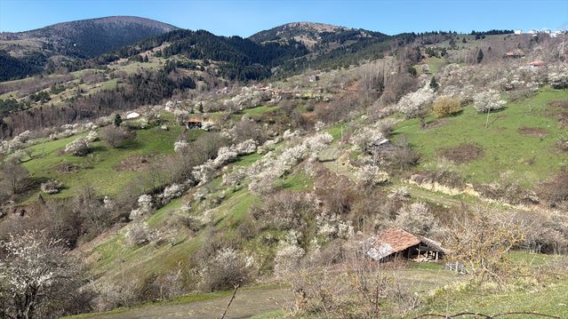Kızlan'da İlkbahar Manzarası