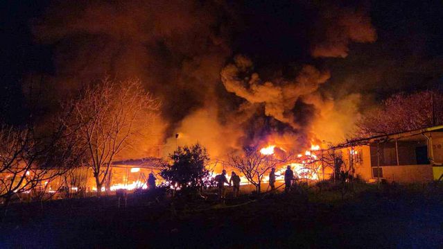 Muz deposu alevlere teslim oldu: 3 saatte kontrol altına alındı