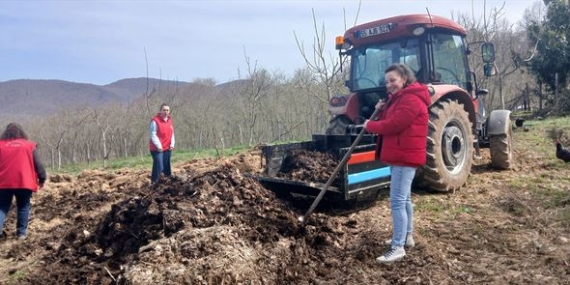 Nebiyan Fasulyesi Tarla Hazırlıkları Başladı