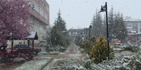 Samsun ve Amasya'da Nisan Ayında Kar Yağışı
