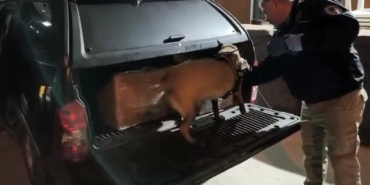 Samsun'da Uyuşturucu Operasyonu: 4 Gözaltı