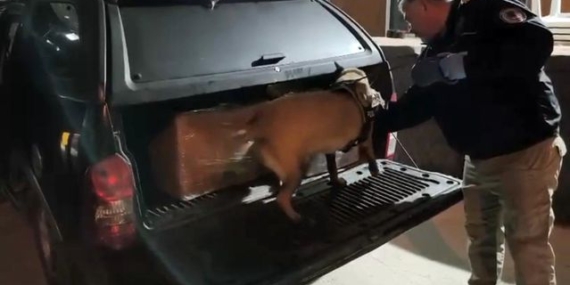 Samsun'da Uyuşturucu Operasyonu: 4 Gözaltı