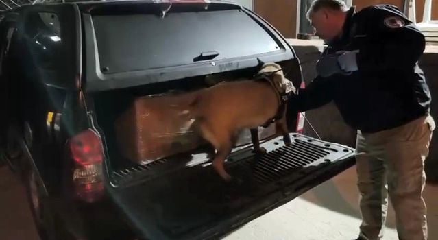 Samsun'da Uyuşturucu Operasyonu: 4 Gözaltı