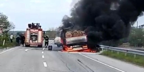Seyir halindeki tomruk yüklü kamyon alevlere teslim oldu