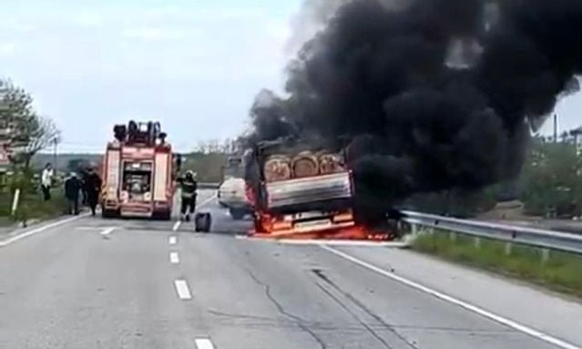 Seyir halindeki tomruk yüklü kamyon alevlere teslim oldu