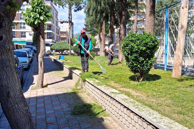 Efeler'de yeşil alanlarda çalışmalar sürüyor
