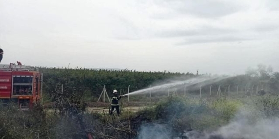 Hassa'da zeytinlik yangını - Son Dakika