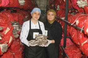 Samsun'da Kadın Girişimcilerden Sağlıklı Kütüphane