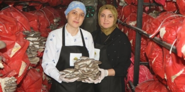 Samsun'da Kadın Girişimcilerden Sağlıklı Kütüphane
