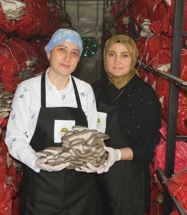 Samsun'da Kadın Girişimcilerden Sağlıklı Kütüphane