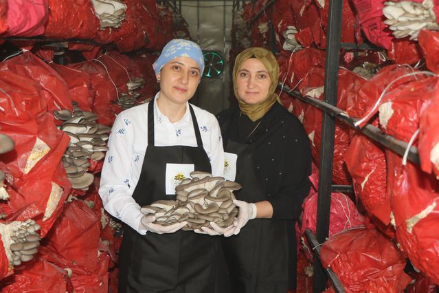 Samsun'da Kadın Girişimcilerden Sağlıklı Kütüphane