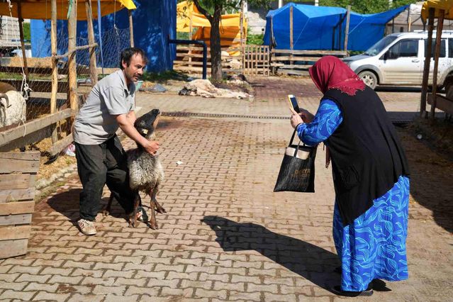 Samsun'da Kurban Bayramı Mesaisi Devam Ediyor