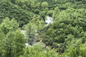 Yaşlı Kadının Ölümü: Şüpheli Durum Yok