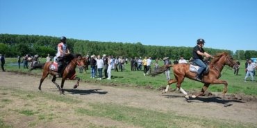 26. Rahvan At Yarışları Bahar Festivali