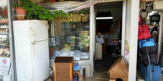 81 yaşındaki terziden sokak kedilerine sevgi dolu yuva