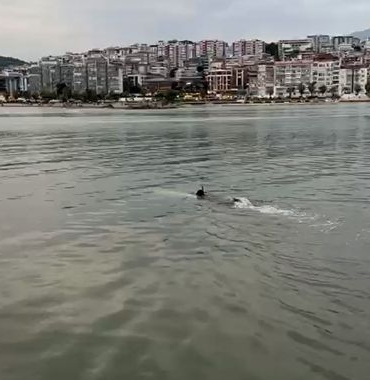 Deniz Kıyısında Kıyafet İhbarı - Son Dakika