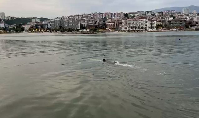 Deniz Kıyısında Kıyafet İhbarı - Son Dakika