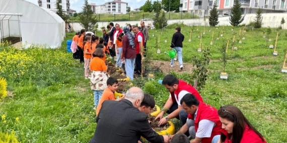 Öğrenciler Lavanta Bahçesi Oluşturdu - Son Dakika