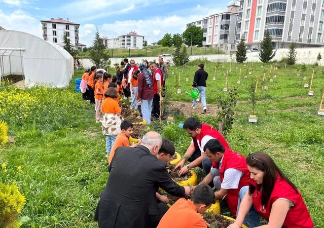 Öğrenciler Lavanta Bahçesi Oluşturdu - Son Dakika