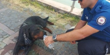 Polis Köpeği Kurtardı - Son Dakika