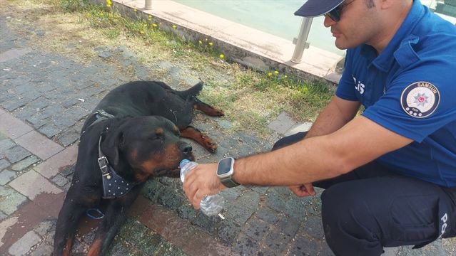 Polis Köpeği Kurtardı - Son Dakika