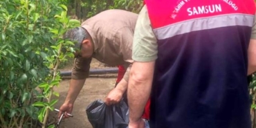 Samsun'da Bitki Kontrolleri Artıyor - Son Dakika