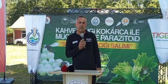 Samsun'da Kahverengi Kokarca Mücadelesi - Son Dakika