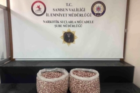 Samsun'da Tırda 129 Bin Uyuşturucu Hap Ele Geçirildi
