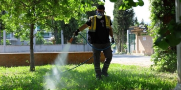 Samsun'da Vektör İlaçlama Çalışmaları - Son Dakika