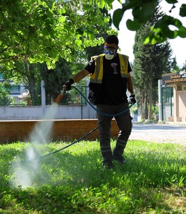 Samsun'da Vektör İlaçlama Çalışmaları - Son Dakika