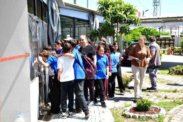 Terme'de 'doğa' sevgisi - Son Dakika