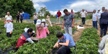 Yayla çileği aromasıyla öne çıkıyor