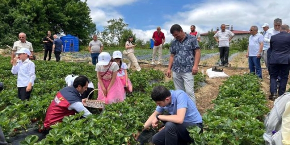 Yayla çileği aromasıyla öne çıkıyor
