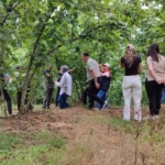 2026 Fındık Rekoltesi İçin Arazi Çalışması