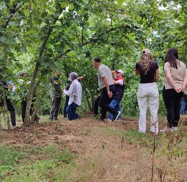 2026 Fındık Rekoltesi İçin Arazi Çalışması
