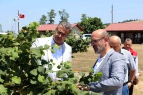 Emiralioğlu Samsun'da Tarımsal İncelemelerde Bulundu