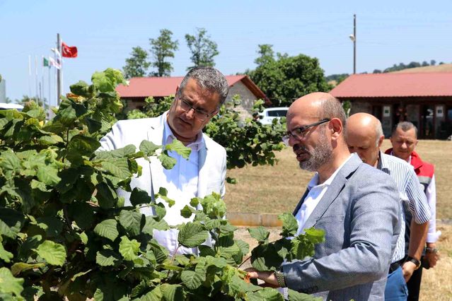 Emiralioğlu Samsun'da Tarımsal İncelemelerde Bulundu