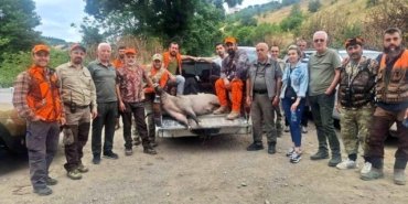 Samsun'da Domuz Avı Başladı - Son Dakika