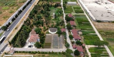 Samsun'da Fidan Üretimi ve Ağaçlandırma