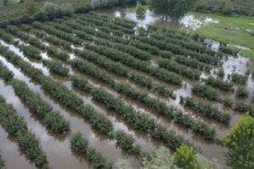 Çarşamba'da İkinci Sel Felaketi - Son Dakika
