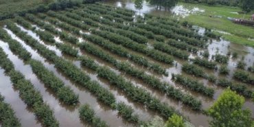 Çarşamba'da İkinci Sel Felaketi - Son Dakika