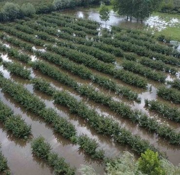 Çarşamba'da İkinci Sel Felaketi - Son Dakika