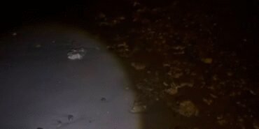 Sahile vuran çuvallar panik yarattı! Ekipler ne olduğunu anlayamadı