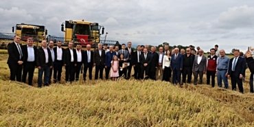 Alaçam'da 2026 çeltik hasadı başladı, dönüm başına 900 kilogram verim alınıyor