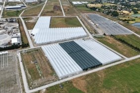 Bafra Sera Organize Tarım Bölgesi'nde ilk etapta 100 ton üretim hedefleniyor