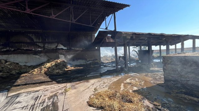 Bafra'da saman deposu yangını kontrol altına alındı, 435 ton yonca kullanılamaz oldu