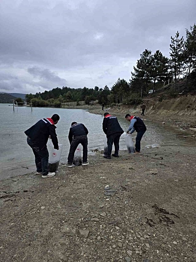 Havza'da 6 gölete yaklaşık 110 bin yavru sazan bırakıldı