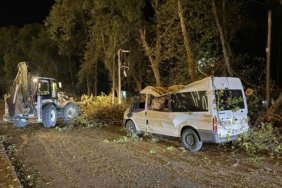 Samsun Alaçam'da rüzgarda devrilen ağaç park halindeki minibüste hasar oluşturdu